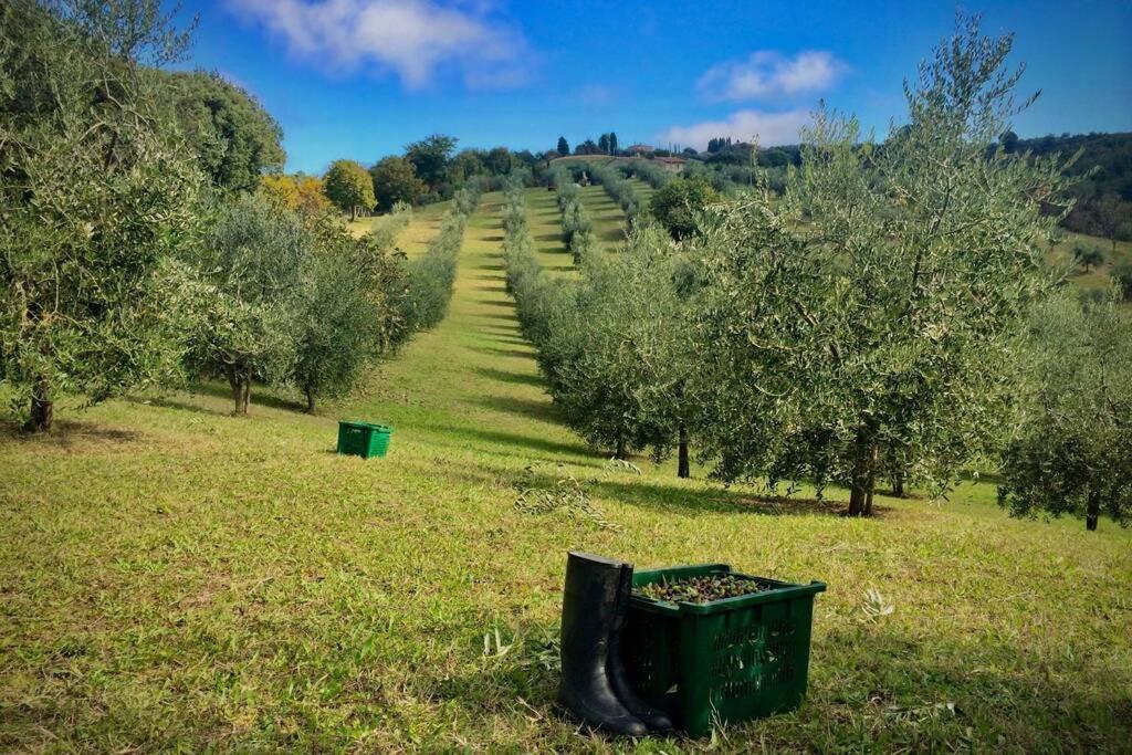 La Casina Della Quercia, Your Tuscan Oak Tree House Osteria Delle Noci Luaran gambar