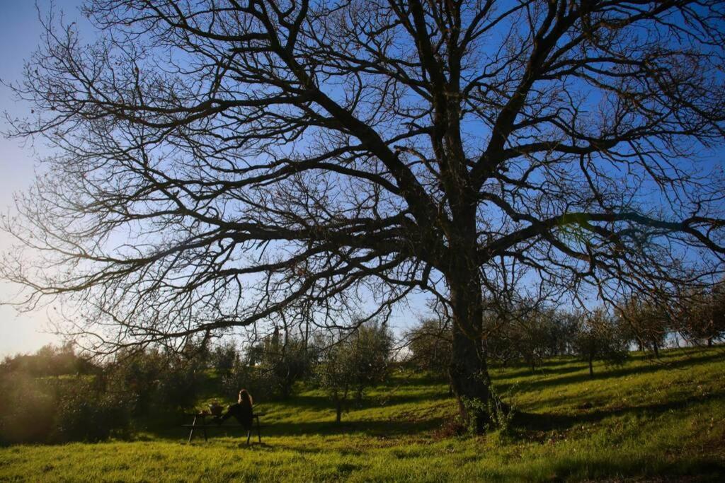 La Casina Della Quercia, Your Tuscan Oak Tree House Villa Osteria Delle Noci Luaran gambar