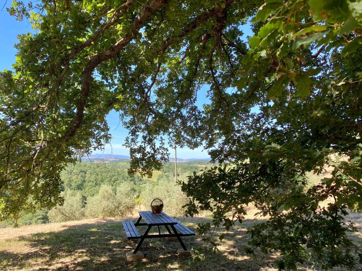 La Casina Della Quercia, Your Tuscan Oak Tree House Villa Osteria Delle Noci Luaran gambar